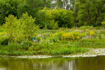 Fototapeta premium Bench By The Pond