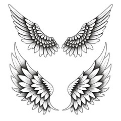 Fototapeta premium wings illustration