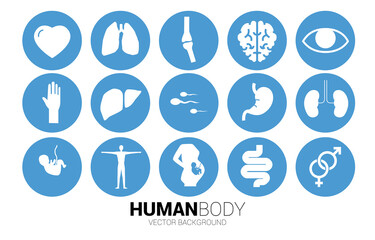 icon for human part and organic. Concept for hospital department and healthy.