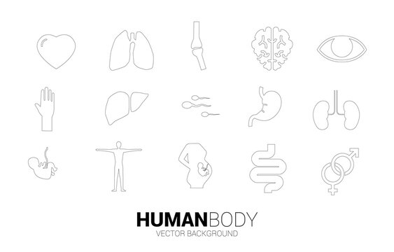 icon for human part and organic. Concept for hospital department and healthy.