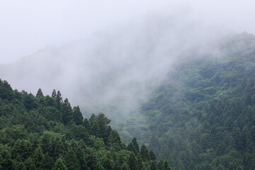 山岳写真