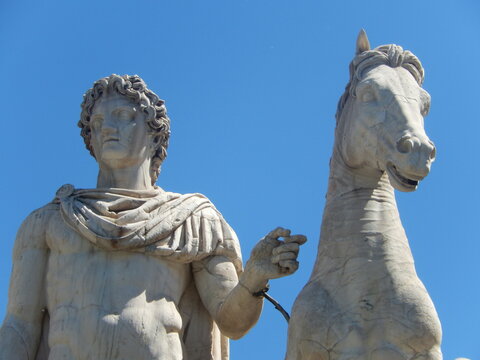 Roma, Campidoglio, Dioscuro