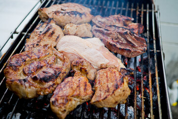  Bar-B-Q, grill, roast, barbecue, tread, stride, bake
