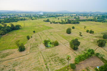 Fototapeta premium aerial view from flying drone of Field rice with landscape green pattern nature background, top view field rice 