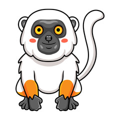Cute sifaka lemur monkey cartoon sitting