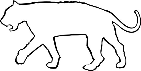 tiger outline