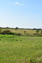 Fototapeta na wymiar Hay Bales in the Distance in a Rural Farm Field