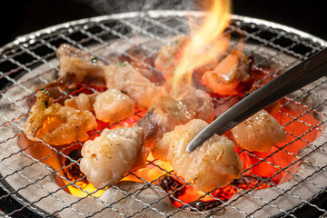 ホルモン　ホルモン焼き