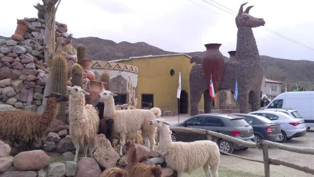 Group of Llamas near a Giant Llama built out of Stone at a Souvenir Store along the Highway near Humahuaca, Jujuy, Argentina.