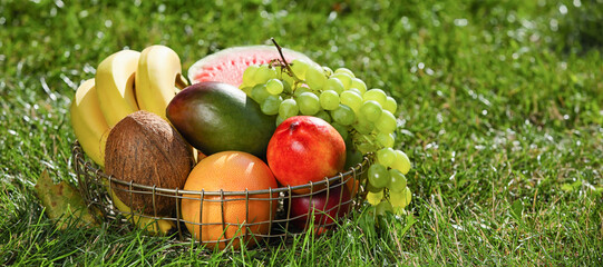 Basket with fresh fruits on green grass outdoors