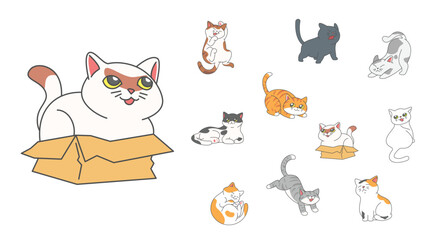 Set of cute funny cats activity such as hiding in the box, hissing, jumping, sleeping etc.