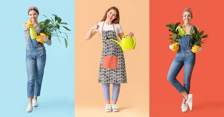 Collage of female gardeners with plants on colorful background