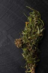 Dried cannabis inflorescences laid on a black stone background.