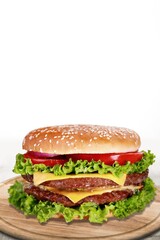 Delicious chicken burger, with meat, salad and sauce