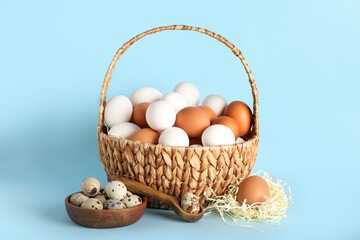 Chicken and quail eggs on blue background