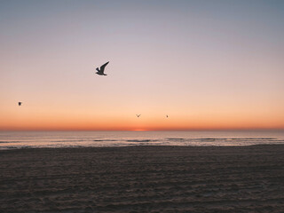 Atlantic Beach at Dusk