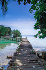 Fototapeta premium wooden bridge over the river