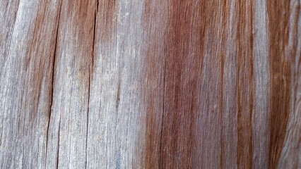 Obraz premium wood texture background