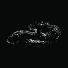 Eastern Indigo Snake hand drawing vector illustration isolated on black background