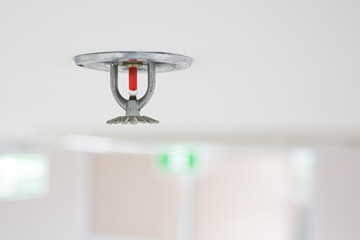 Fire fighting equipment, sprinkler on white ceiling background.Automatic head fire sprinkler extinguisher selected focus on sprinkler.Fire fighter safety concept. - obrazy, fototapety, plakaty