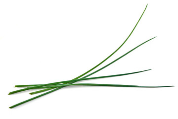 Fresh green onions or chives, close-up, isolated on white background.