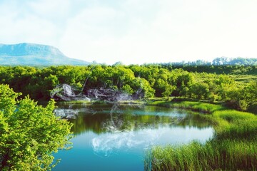 Fototapeta na wymiar A beautiful lake in a summer green forest.Summer green lake view. Summer forest lake landscape