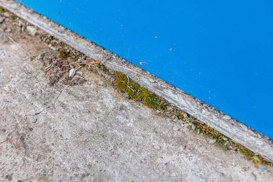 Moss And Grass Destroy Cement Foundation And Concrete Pavements