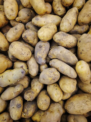 Bunch of fresh potato in supermarket shelves , yellow potatoes 