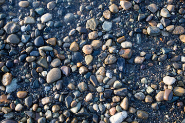Texture or natural background of stones on the shore of a swampy river