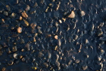 Texture or natural background of stones on the shore of a swampy river