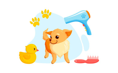 Dog grooming with dryer, combs and rubber ducks. Playful chihuahua puppy in grooming service. Vector illustration in cute cartoon style
