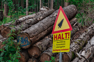 Baumfällung Warnschild