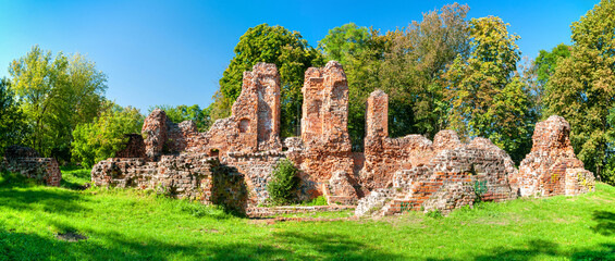Ruins of castle in Raciążek