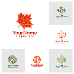 Set of Maple leaf Logo Design Template. Maple leaf logo concept vector. Creative Icon Symbol