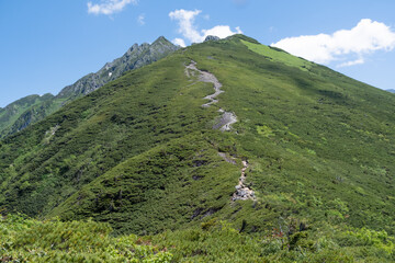 Fototapeta na wymiar 西穂高丸山から独標へ向かうガレた稜線の夏道