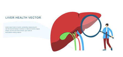Obraz premium Tiny physician examines human liver with magnifier to diagnose its diseases. Medical observation flat vector banner for diagnostic center, laboratory, clinic, research institution, conference etc. 