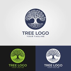 Abstract living tree logo design, roots vector - Tree of life logo design inspiration isolated on white background