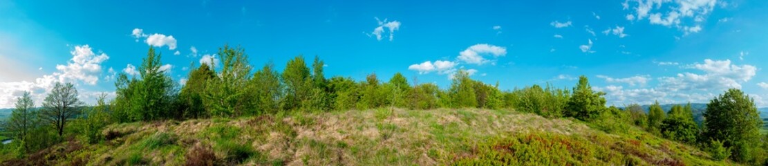 Obraz premium Panorama of the spring forest near the mountain town. Picturesque landscape of a sunny day.