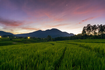 Fototapeta na wymiar panorama of the natural beauty of asia. rice field view with mountains and sunrise also stars
