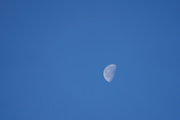 moon in the blue sky