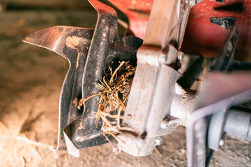 Rototiller of a walk-behind tractor with tangled dry grass close-up