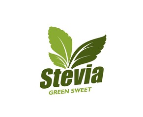 Sweet stevia leaves icon, organic sweetener or sugar substitute, vector healthy food. Stevia leaf symbol of green natural plant, sugar substitute sticker for sweet herbal product or tea an coffee - obrazy, fototapety, plakaty