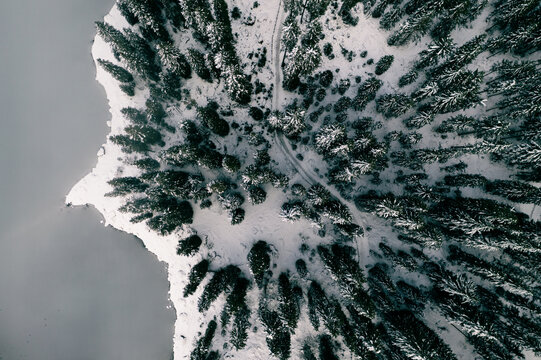 Verschneite Landschaft mit Bäumen und See von oben mit Drohne Schweiz