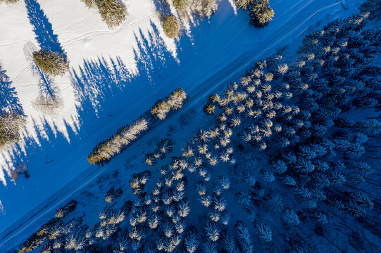 Winter Sonne verschneite Bäume mit Strasse von oben mit Drohne Schweiz