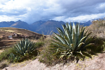 Andy, Peru, góry - 517843511