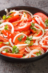 Ensalada chilena is a Chilean salad consisting of tomatoes, onions, olive oil, and coriander closeup in the plate on the table. Vertical