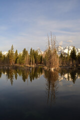 Obraz premium schwabachers at dawn