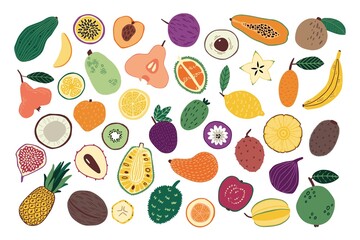 Hand drawn fruits. Sketch of doodle natural food. Tropical mango and banana. Fresh whole pineapple. Half of ripe pear. Juicy kiwi or carambola. Exotic ingredients set. Vector background