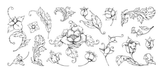 Flower Baroque ornaments. Vintage tattoo and frame elements. Botanical border pattern with rose and arabesque. Blooming blossoms. Victorian decorative leaves. Vector illustration set