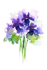 A small bouquet of violets. Watercolor illustration